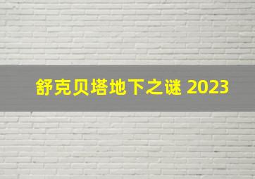 舒克贝塔地下之谜 2023